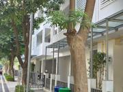 4 BHK Apartment in DLF Phase 5 for rent Gurgaon. The...