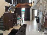 4 BHK Apartment in Egattur for rent Chennai. The...