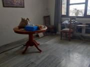 4 BHK Apartment in Sector 12 Dwarka for rent New Delhi....