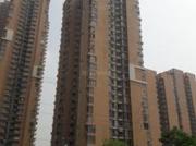 4 BHK Apartment in Sector 61 for rent Gurgaon. The...
