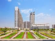 4 BHK Apartment in Sector 65 for rent Gurgaon. The...
