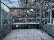 4 BHK Apartment in Vasant Kunj for resale South West...