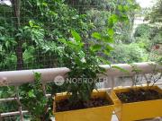 4+ BHK Flat In Bhagyashree Apartment for Rent In Seasons...