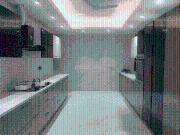 4 BHK Independent Builder Floor in Gulmohar Park for...