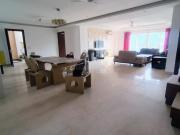 4 BHK Independent Builder Floor in Sector 47 for rent...