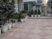 4 BHK Independent Builder Floor in Sector 49 for resale...