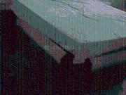 4 BHK Independent House in Arera Colony for rent Bhopal....