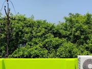 4 BHK Independent House in Belghoria for resale Kolkata....