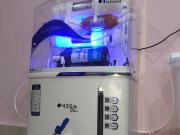 4 BHK Independent House in Jagatpura for rent Jaipur....