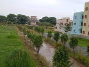 4 BHK Independent House in Jigani for resale South...