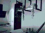 4 BHK Villa in Manikonda for resale Hyderabad. The...