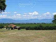 4 camere da letto, Castel Sant'Elia Lazio 97103658