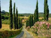 4 camere da letto, Riparbella Pisa 85426517