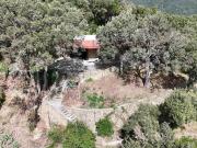 4 Camere da letto Villa Toscana In vendita A7631rva...