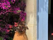 4 chambres, MONTPELLIER Languedoc Roussillon 34000 91537896