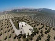 4 Dormitorios Villa Alicante En Venta