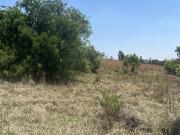 4 ha Land available in Tierpoort