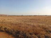 4 ha Land available in Withok Estates