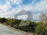 4 Kanal 3 Side Corner Plot For Sale In Banigala