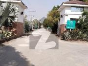 4 Kanal Farm House Open Land Sofia Farm society Bedain...