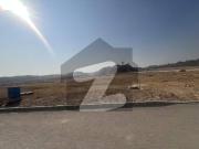 4 Marla Allocation Commercial Plot In Sec D
