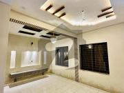 4 marla single storey house for sale in audit and...