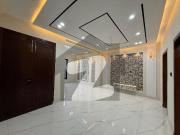 4 Marla Triple Storey Brand new House For Rent In Buch...