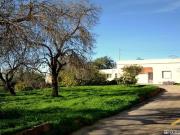 4 quarto, Loulé Faro 97344116