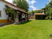 4 quarto, Painho Painho 87564529