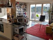 4½ room apartment in Bern Ausserholligen, furnished,...