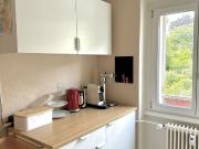 4 ROOM APARTMENT IN BERN – WEISSENBÜHL, FURNISHED, TEMPORARY