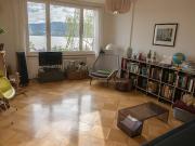 4½ room apartment in Zürich Kreis 8 Riesbach, furnished,...