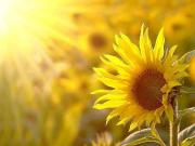 4 Schlafzimmer Haus Schwerin Deutschland 78104254