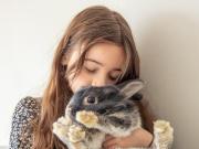 4 Schlafzimmer Haus Uetze Deutschland 95595144