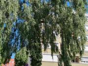 4 Schlafzimmer Wohnung Dachau Deutschland 89446758