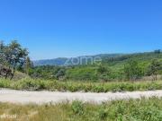 4 Terrenos em Amarante com 14.150m2 viabilidade construo