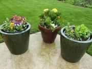 4 Zimmer 103 m² 679.000 € Kaufpreis Wohnungen in Wangen i.