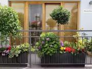 4 Zimmer 114 m² 400.000 € Kaufpreis Wohnungen in Freiburg