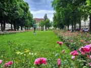 4 Zimmer 130 m² 698.400 € Kaufpreis Wohnungen in Berlin /.