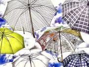 4 Zimmer 167 m² 717.000 € Kaufpreis Wohnungen in Dresden