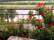 4 Zimmer 73 m² 235.000 € Kaufpreis Häuser in Zeltingen Ra.