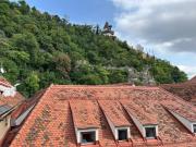 4 Zimmer Altbauwohnung im Herzen der Stadt!