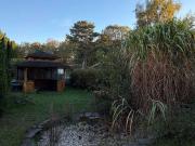 4 Zimmer Doppelhaushälfte mit Carport und Garten in...