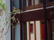 4 Zimmer Einfamilienhaus