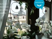 4 Zimmer • im Dachgeschoss • mit Balkon • auf dem... 4 Zimmer • im Dachgeschoss • mit Balkon • auf dem...