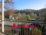 4 Zimmer mit Balkon in der Greizer Neustadt