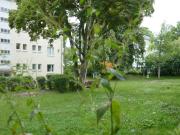4 Zimmer Wohnung oberhalb vom Alten Friedhof!