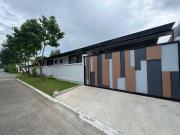 4BR Single Storey Modern House for Sale in BF Homes...