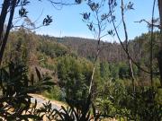 5000 m2 a 20 minutos de Concepción