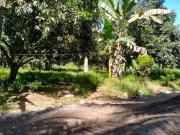 5000 sqm farm lot in Calinan along cemented road, Davao...